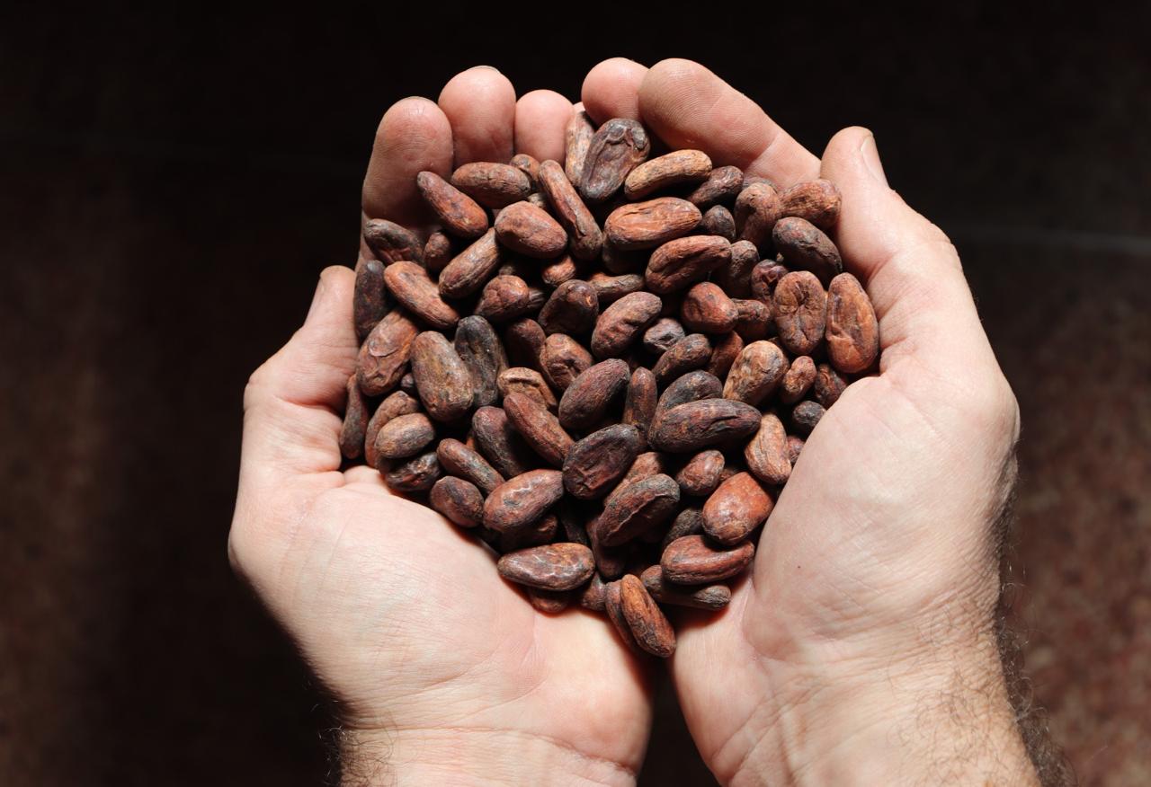 WhatsApp Image 2025-09-09 at 13.45.53